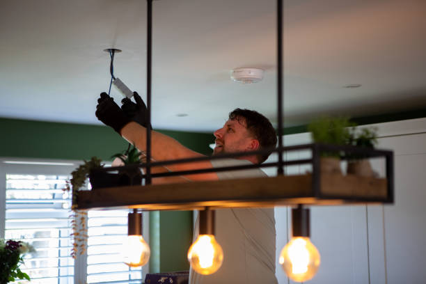 Best Electrician for Home Renovation  in Pine Valley, CA